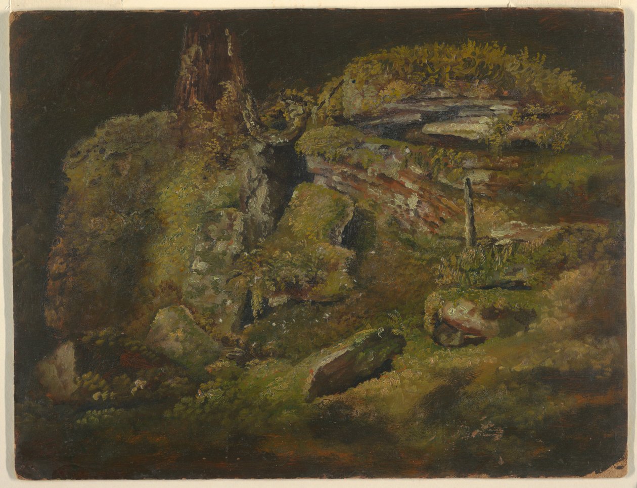 Tekening, Kei in het bos, ca. 1845 door Frederic Edwin Church