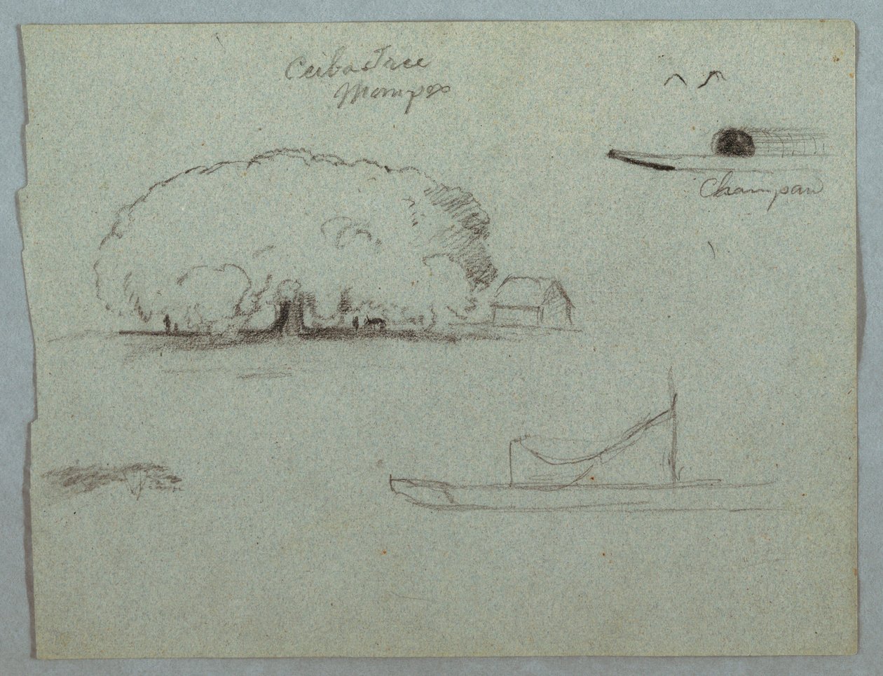 Tekening, Ceiba boom bij Mompos, Champan kano, bomen en een gedeeltelijke boot, Rio Magdelena, Colombia, 1853, waarschijnlijk mei door Frederic Edwin Church