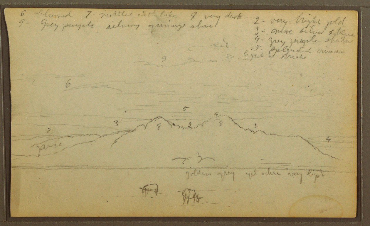 Tekening, Koeien in landschap; Verso: Bamboe, 1857 door Frederic Edwin Church