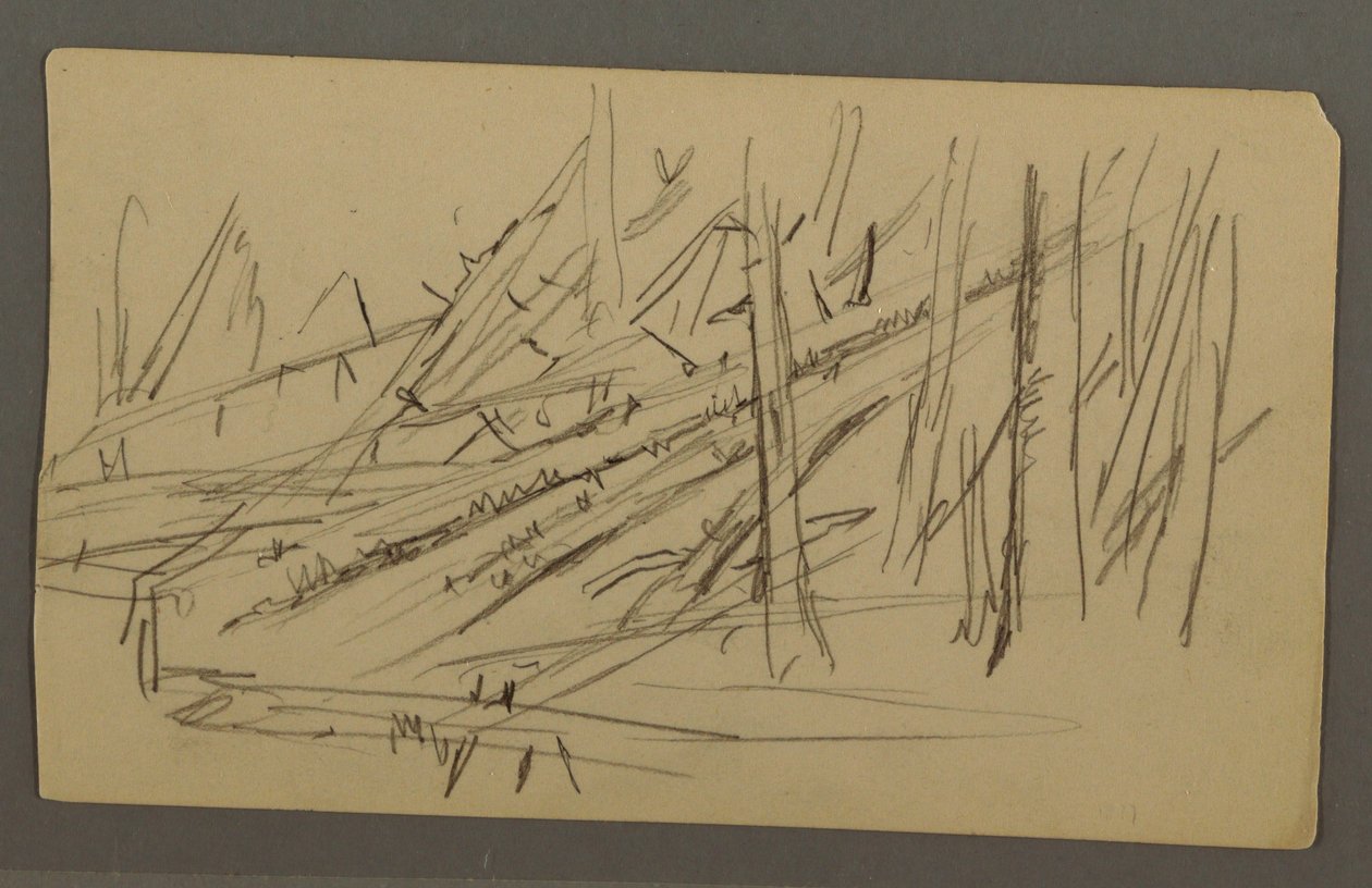 Tekening, Gevallen bomen, mogelijk 1877 door Frederic Edwin Church