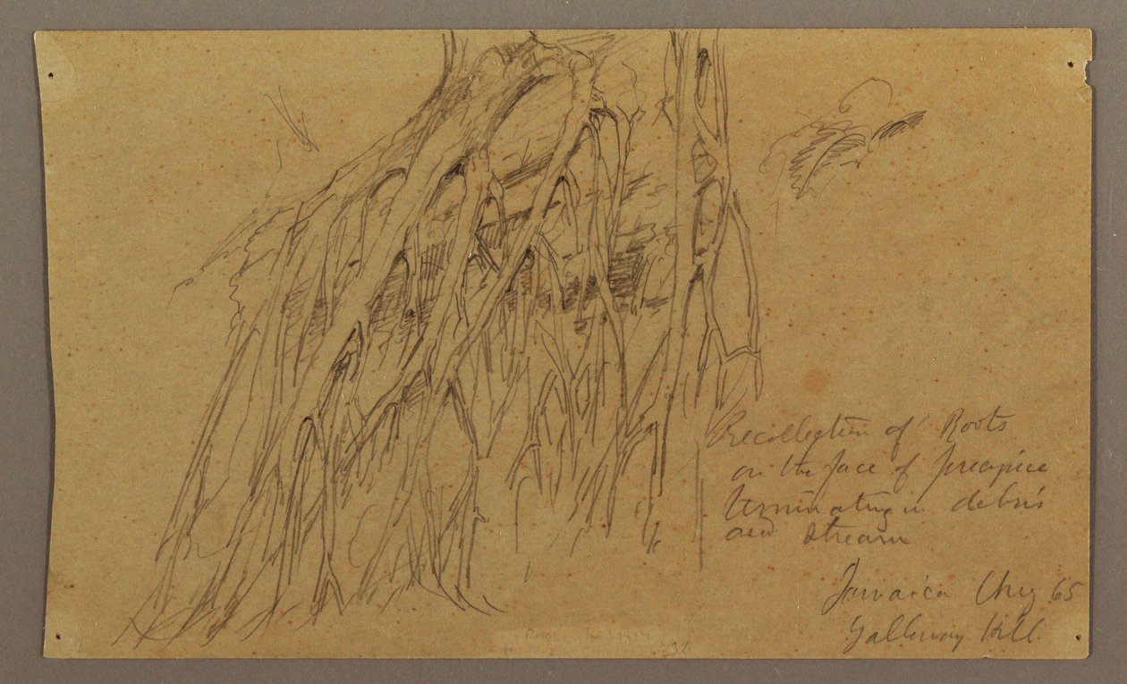 Tekening, Hangende wortels, Galleway Hill, augustus 1865 door Frederic Edwin Church