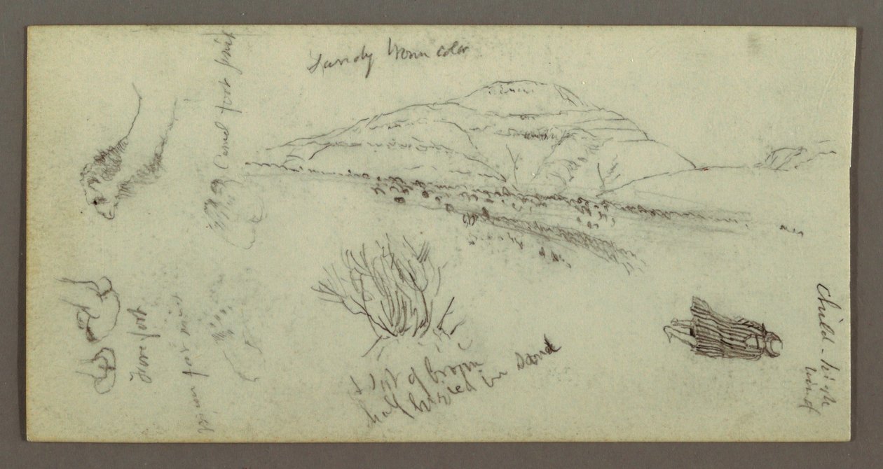 Tekening, Heuvel, Bosjes, Figuur, Kamelenstudies, mogelijk 1868 door Frederic Edwin Church