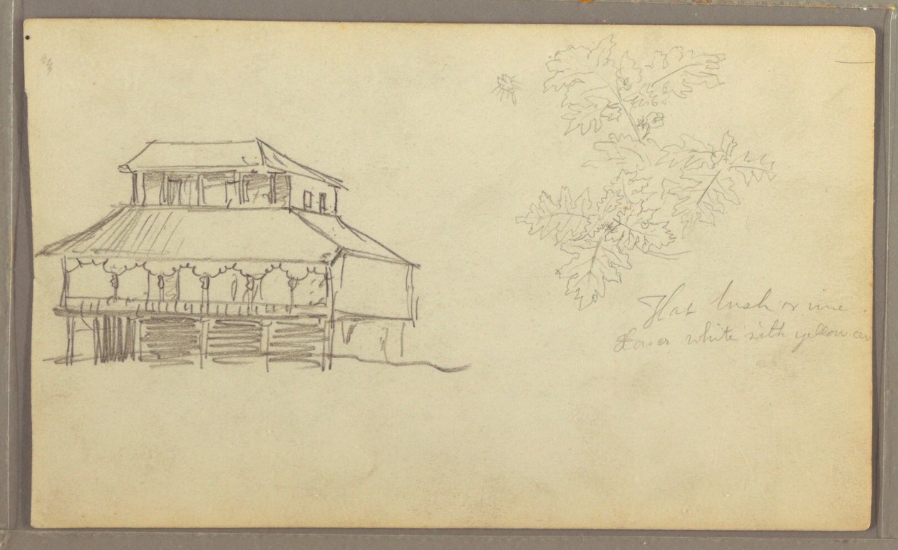 Tekening, Huis, Botanische schets, Ecuador of Colombia, 1857 door Frederic Edwin Church