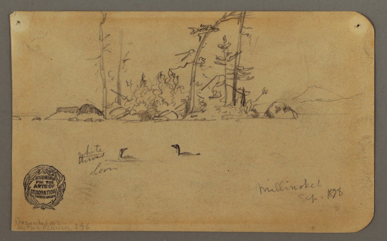 Tekening, Eiland, Twee ijsduikers, 1878 door Frederic Edwin Church