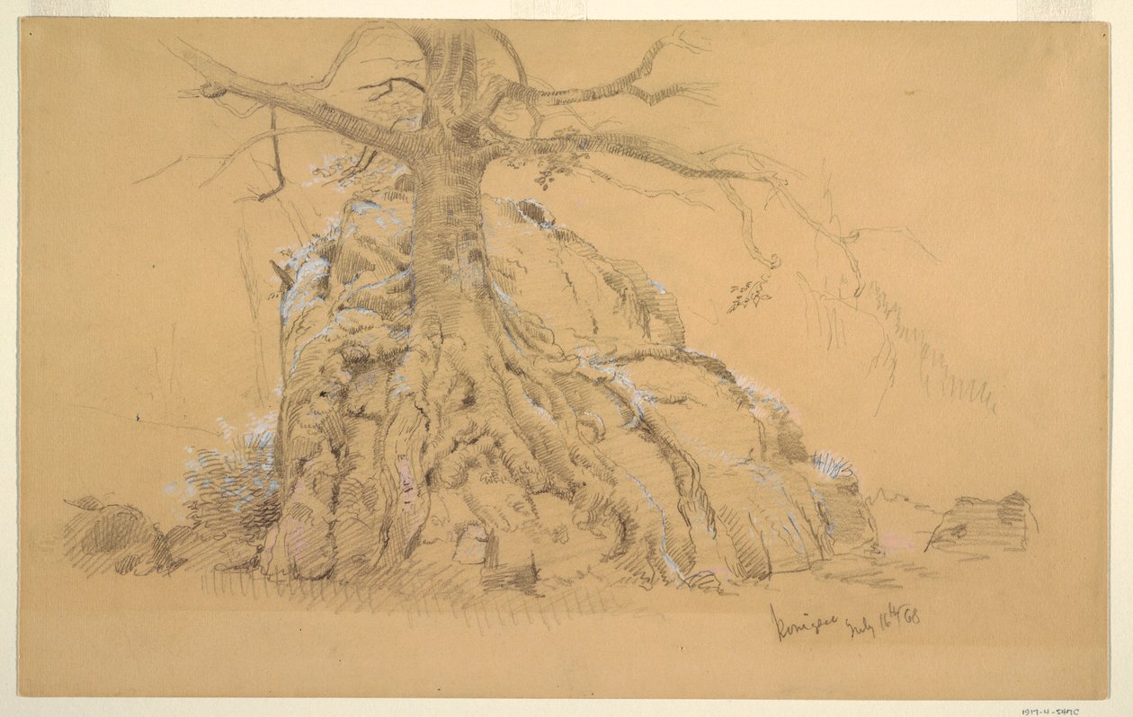 Tekening, Königssee Boom, 16 juli 1868 door Frederic Edwin Church