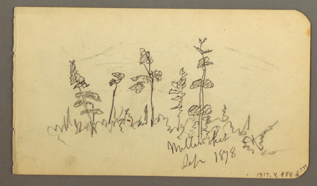 Tekening, meer kijkend in de richting van Mt. Katahdin, 1878 door Frederic Edwin Church