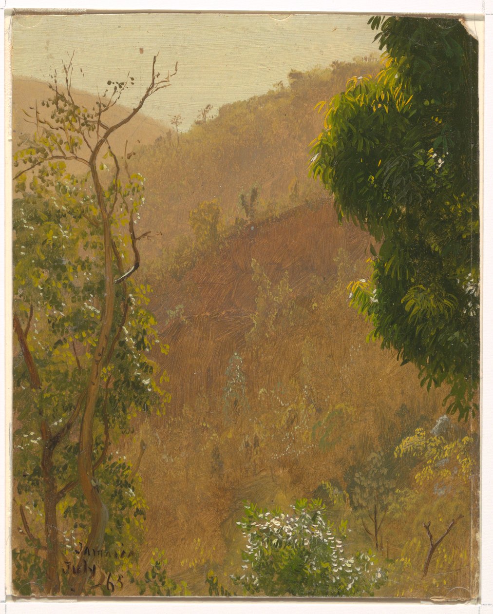 Tekening, Landschap, juli 1865 door Frederic Edwin Church