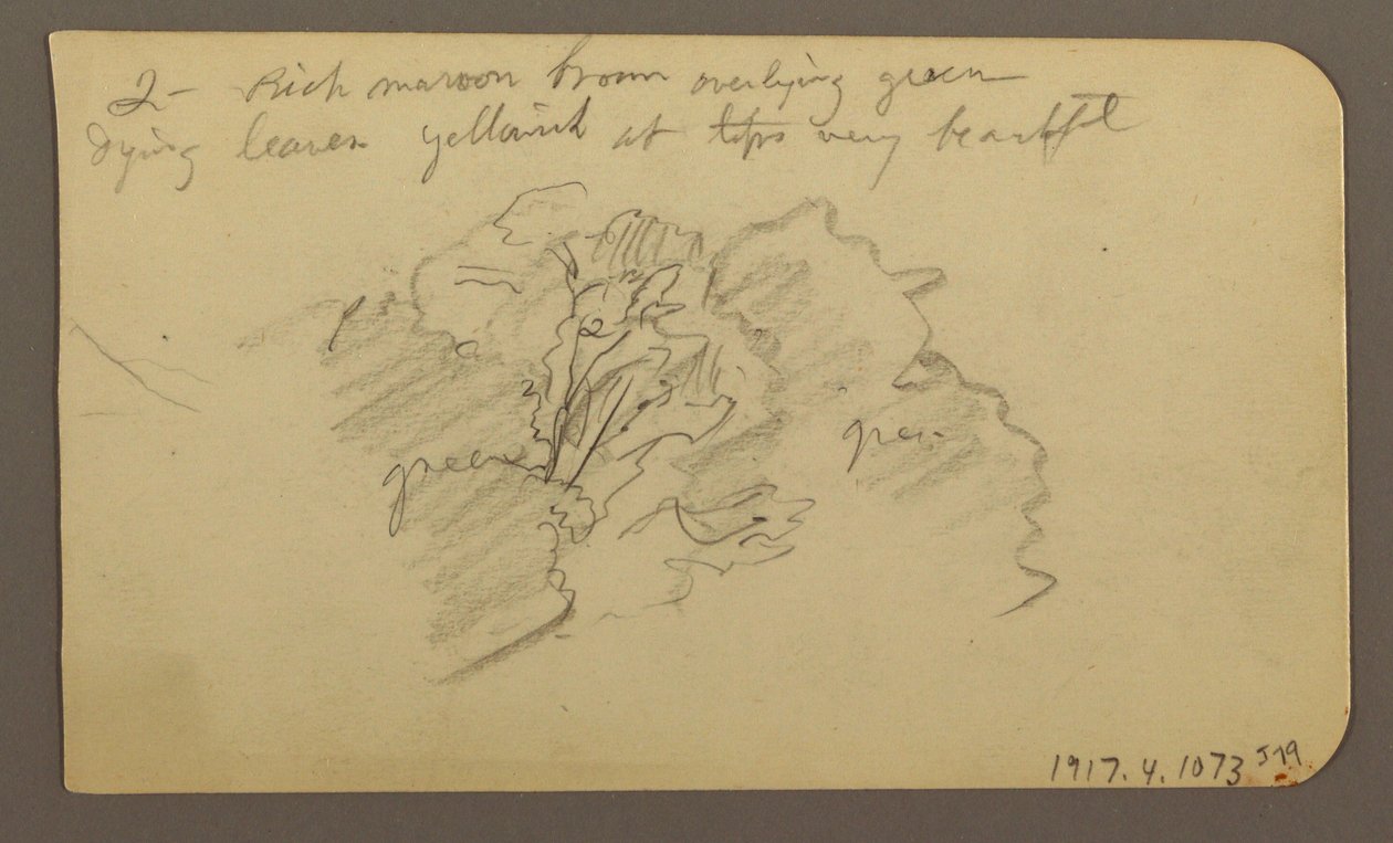 Tekening, Landschap, huizen; Verso: Boomtop, februari 1885 door Frederic Edwin Church