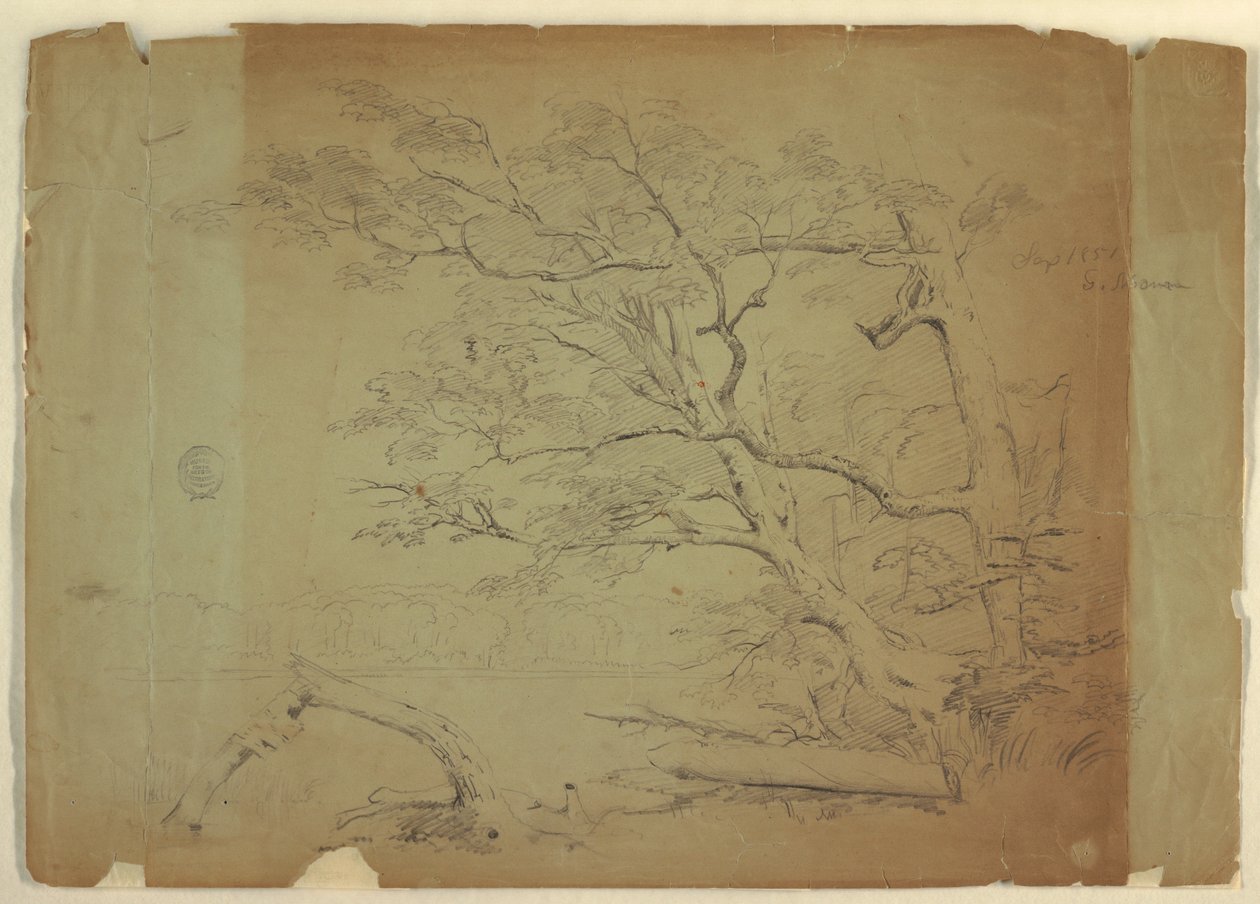 Tekening, Landschap met bomen en een stroom [], Grand Manan Island, Canada, september 1851 door Frederic Edwin Church
