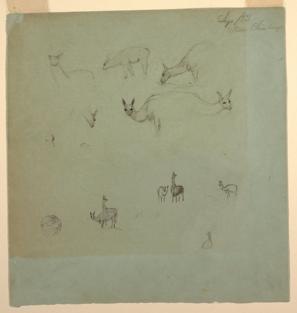 Tekening, Lama