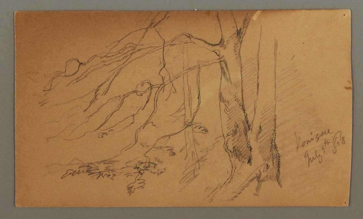 Tekening, onderste helft van boom, 9 juli 1868 door Frederic Edwin Church