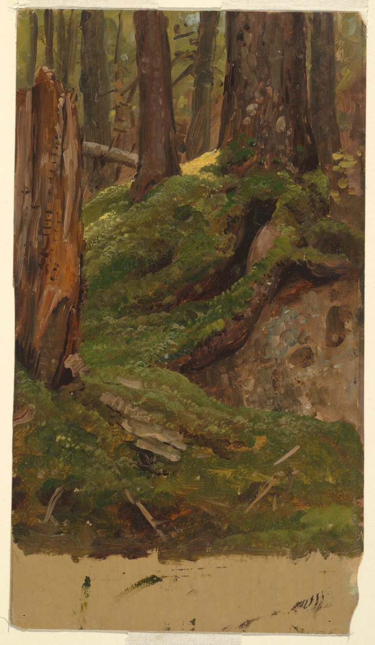 Tekening, Maine  bossen, 1855-65 door Frederic Edwin Church