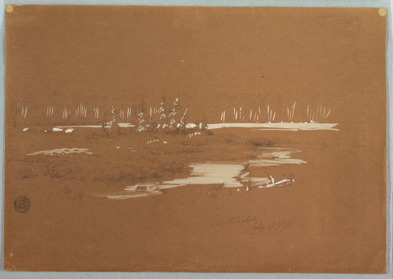 Tekening, Moerassig landschap bij Millinocket, 20 september 1878 door Frederic Edwin Church