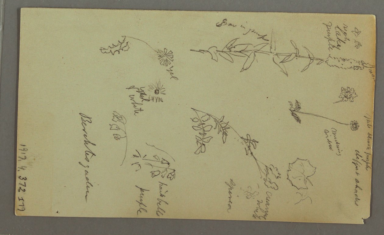 Tekening, Bergstudie, mogelijk 1868 door Frederic Edwin Church