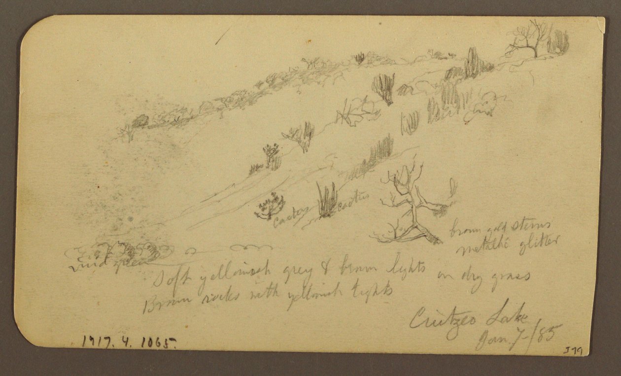 Tekening, Berg, Zapotlan; Verso: Beboste helling, Cuitzeo meer, januari 1885 door Frederic Edwin Church