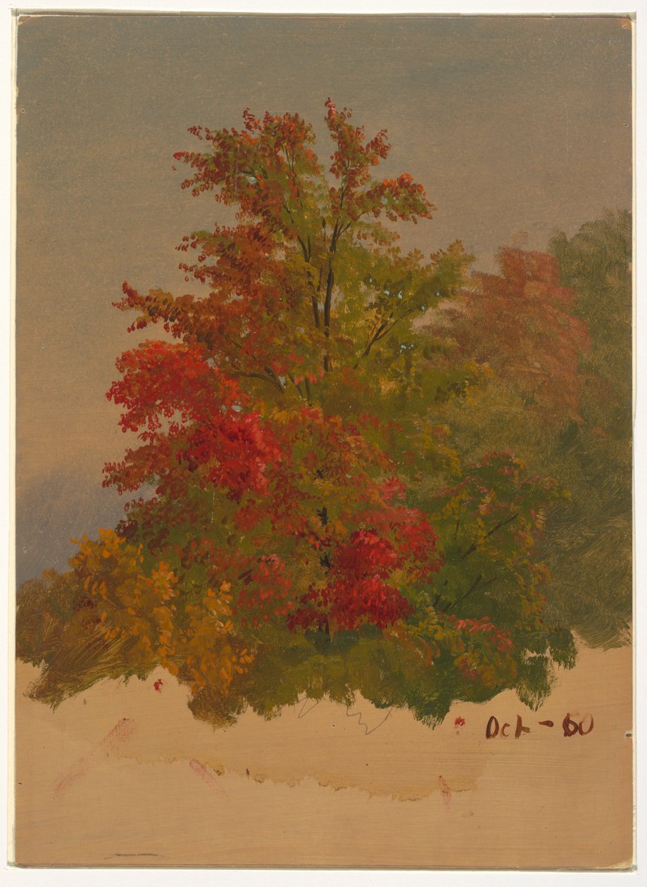 Tekening, Mt. Desert Island , Maine, oktober 1860 door Frederic Edwin Church
