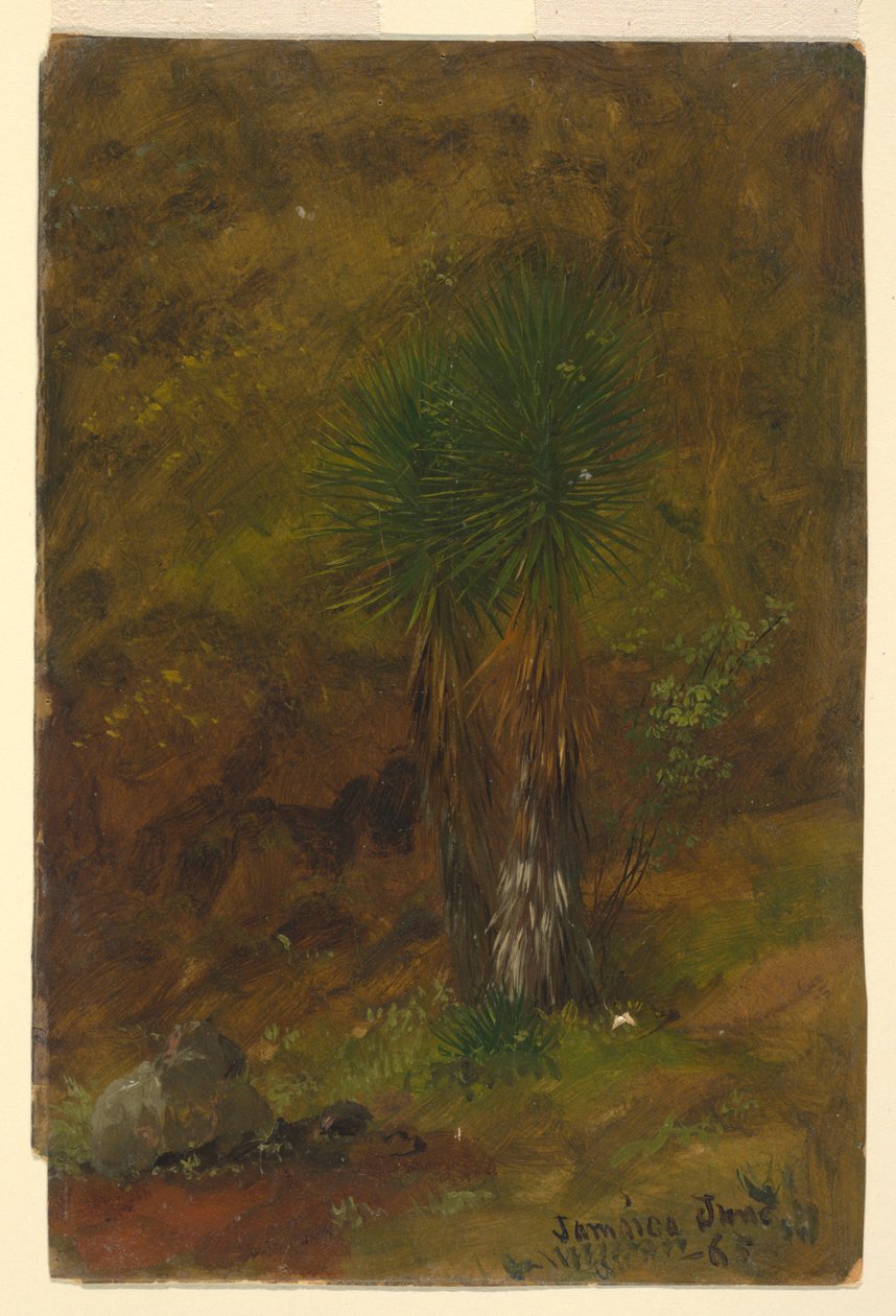 Tekening, Palmbomen, juli 1865 door Frederic Edwin Church