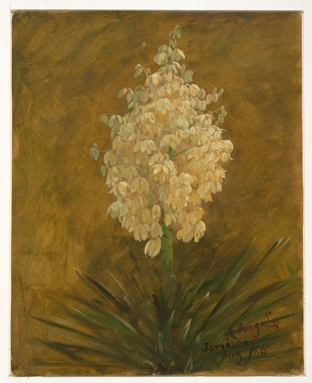 Tekening, Plant in bloei, augustus 1865 door Frederic Edwin Church