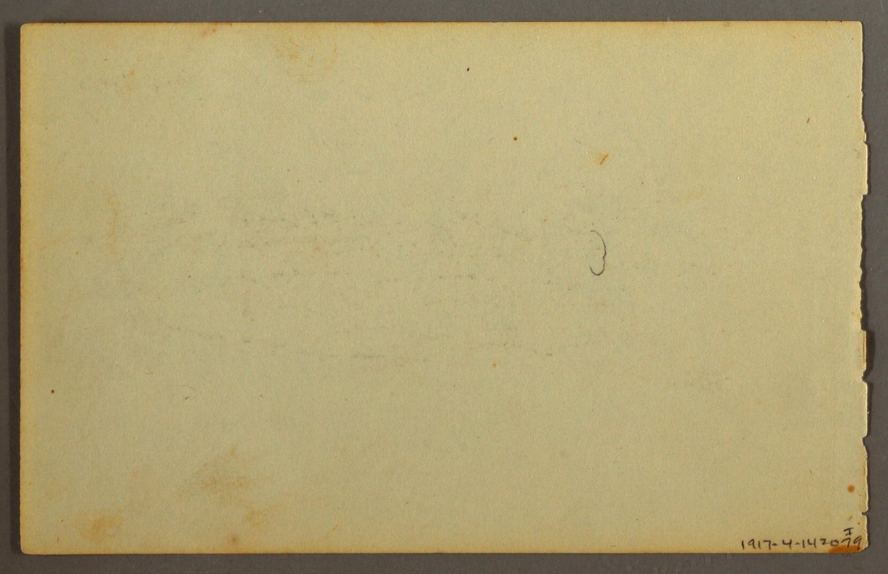 Tekening, Plantenstudie, gezichten, mogelijk 1844 door Frederic Edwin Church