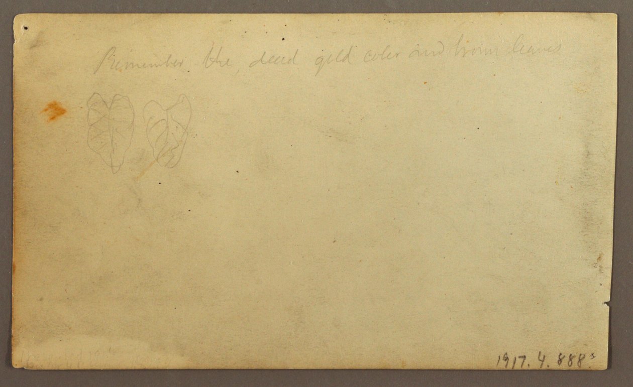 Tekening, Rivier Limona bij een dorp, Ecuador of Colombia; Verso: Bladeren, 1857 door Frederic Edwin Church