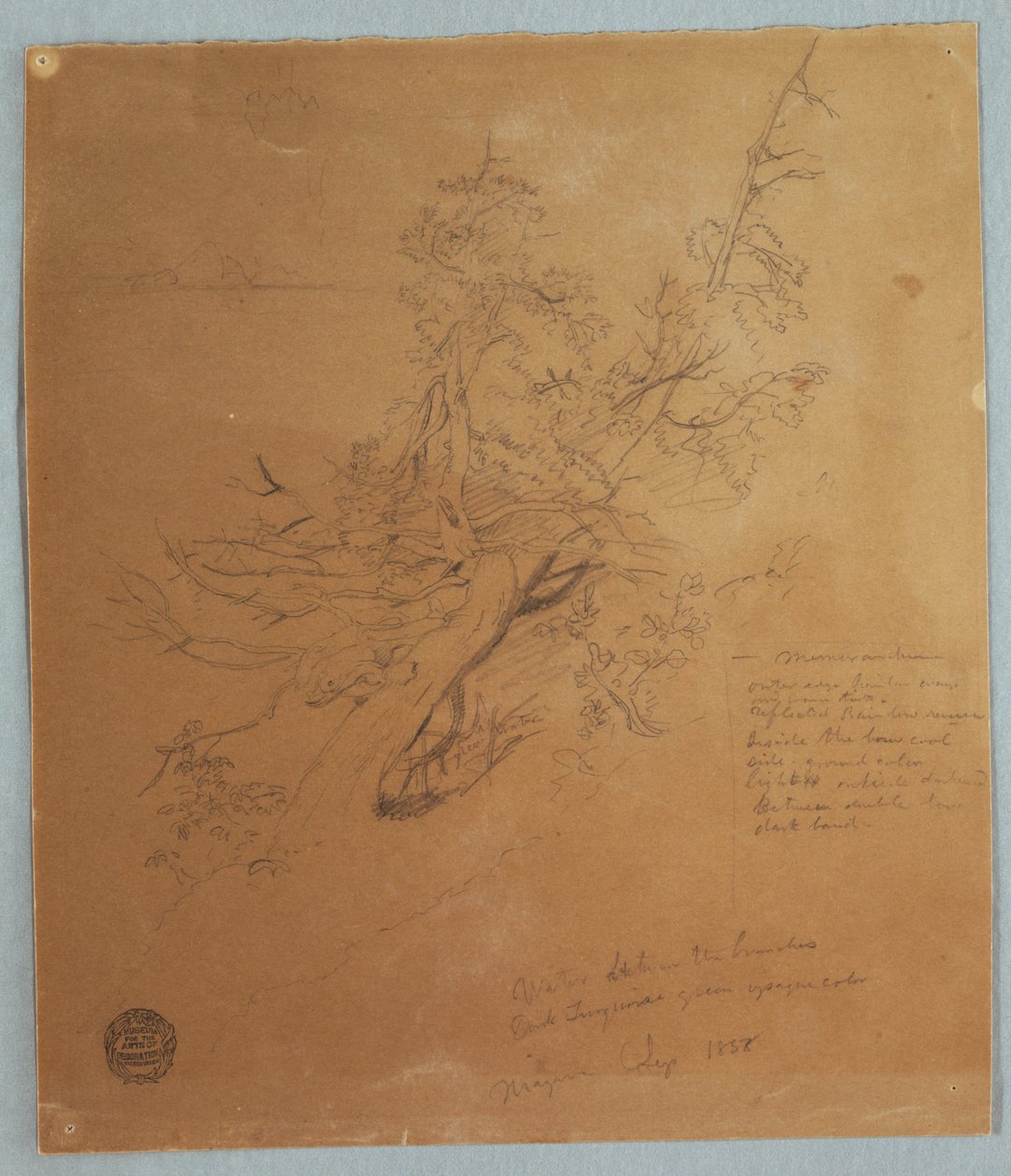 Tekening, Ruige boom bij de Canadese bank onder de Niagara watervallen, september 1856 door Frederic Edwin Church