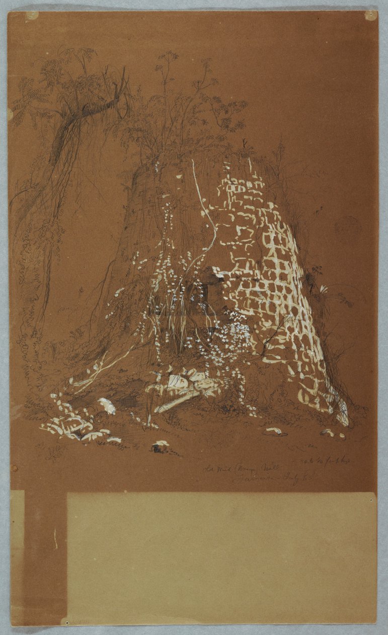 Tekening, Verwoeste oude windmolen, Jamaica, juli 1865 door Frederic Edwin Church