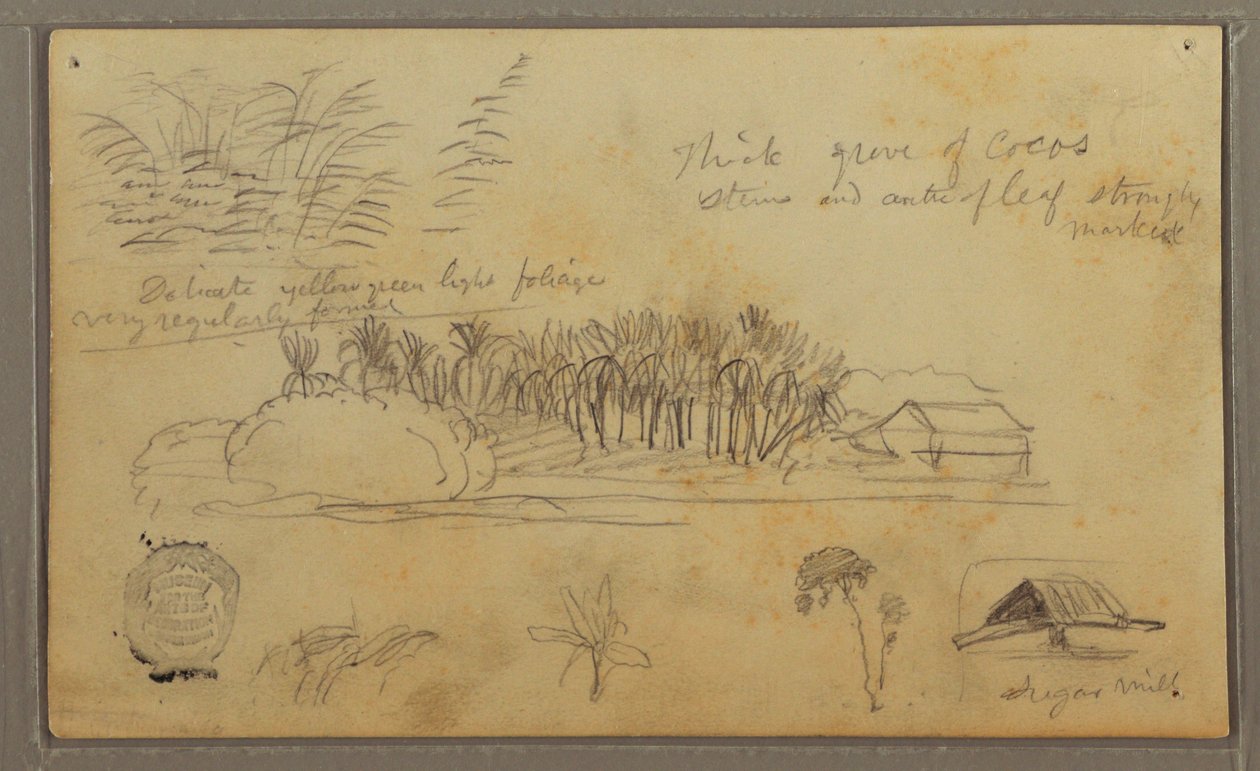 Tekening, Schetsen, Ecuador of Colombia; Verso: Schetsen, Ecuador of Colombia, 1857 door Frederic Edwin Church