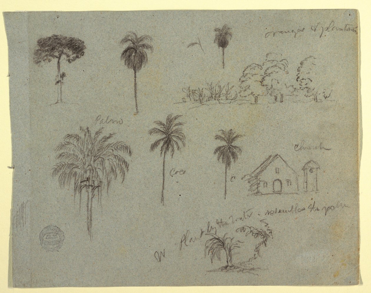 Tekening, Schetsen van de Rio Magdalena, Columbia:  Botanische studies en een kerk, mei 1853 door Frederic Edwin Church