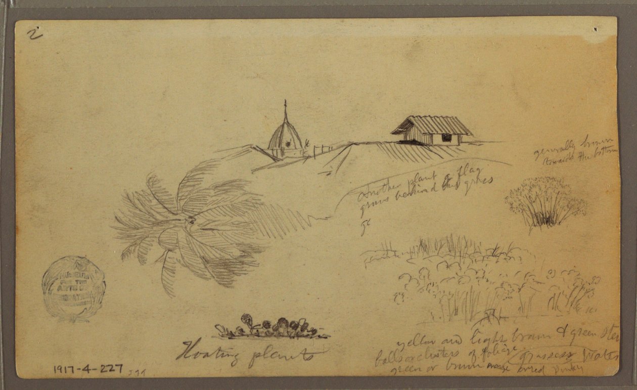 Tekening, Lucht over de zee; Verso: Botanische schetsen, Daken, mei 1857 door Frederic Edwin Church