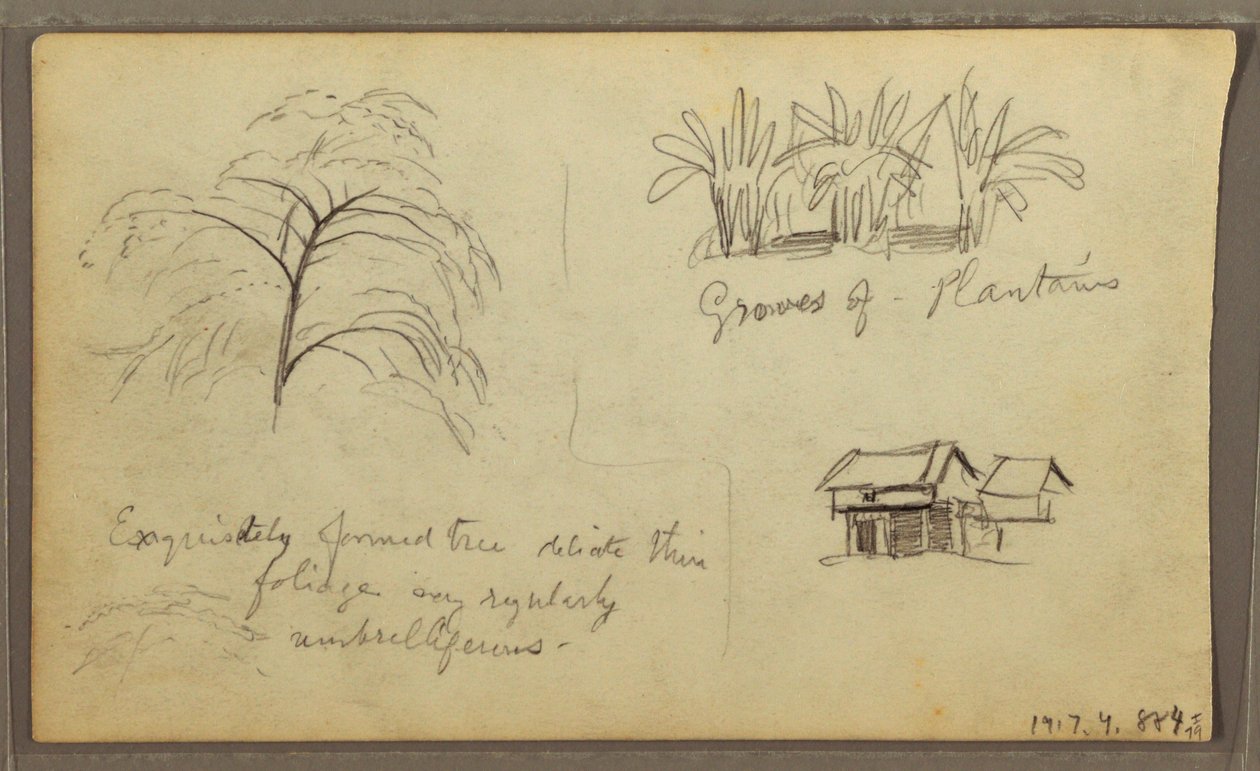 Tekening, straathoek in Guaquil, Ecuador; Verso: Botanische schetsen, huis, Ecuador of Colombia, 1857 door Frederic Edwin Church