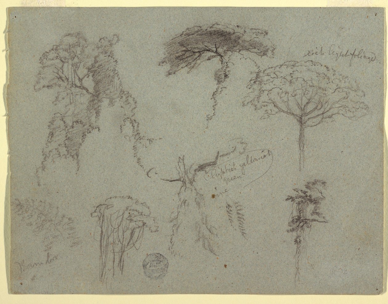 Tekening, Studies van bomen, Ecuador, 1853 door Frederic Edwin Church