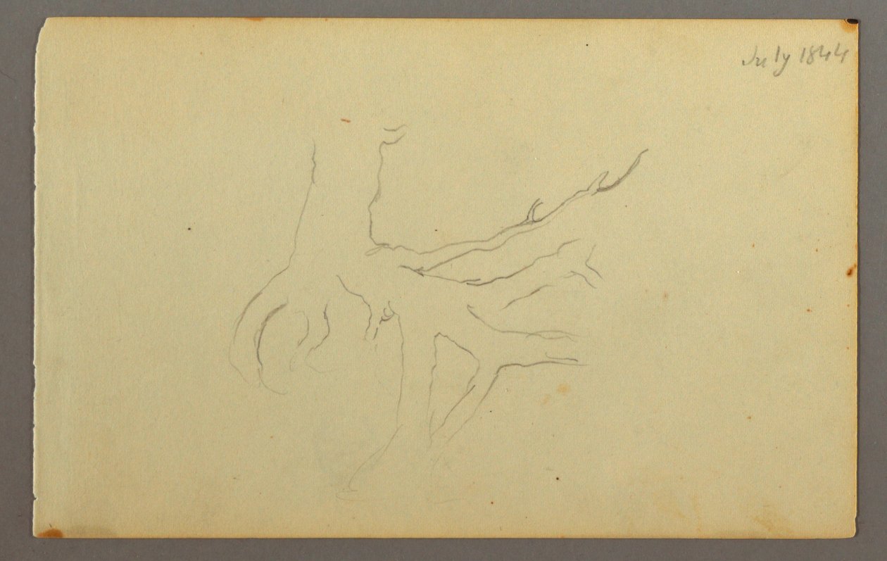 Tekening, Boomwortels, 1844 door Frederic Edwin Church