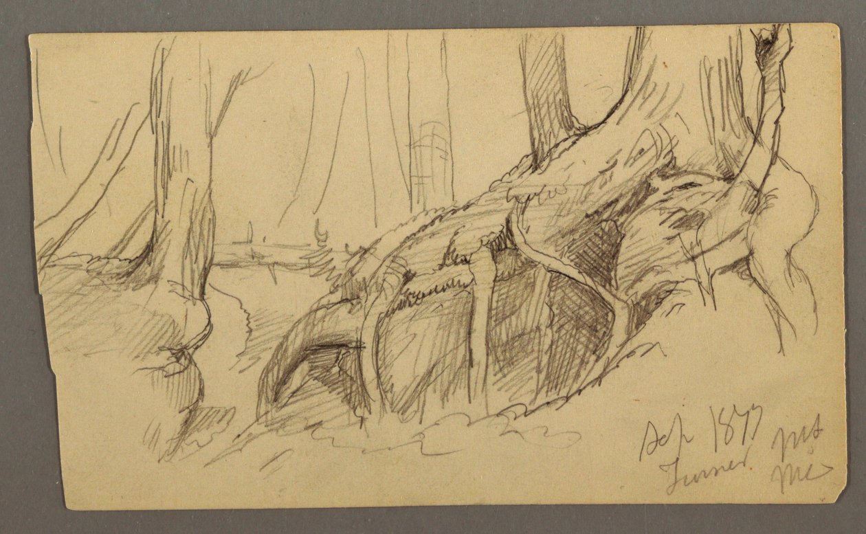 Tekening, Boomwortels groeien over een rotsblok (Turner Mountain), 1877 door Frederic Edwin Church