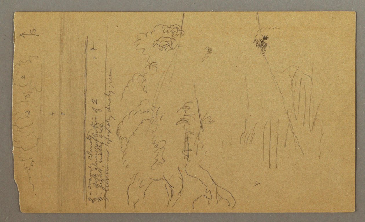 Tekening, Boomstam en wortels, mogelijk 1865-66 door Frederic Edwin Church