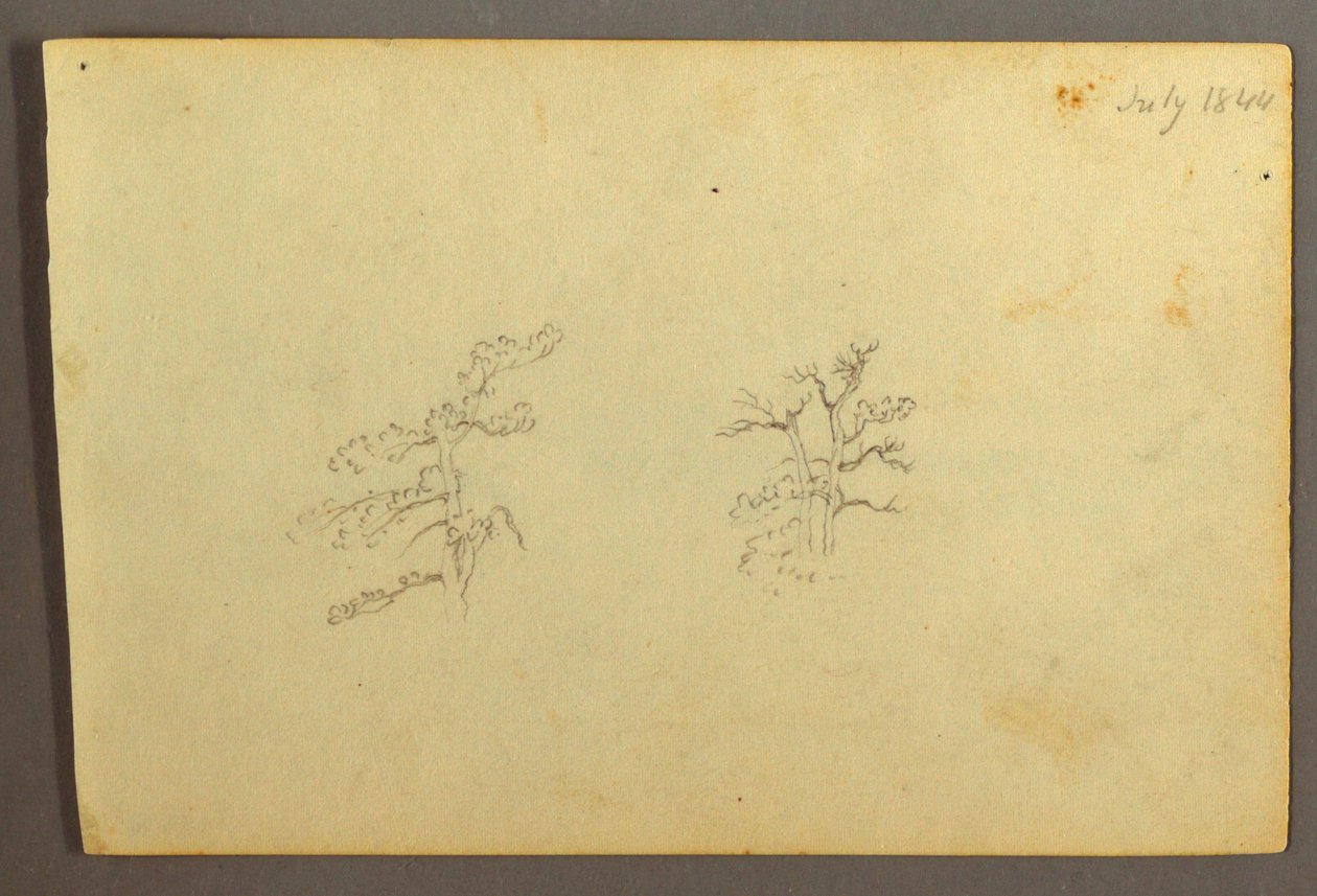 Tekening, Bomen, juli 1844 door Frederic Edwin Church