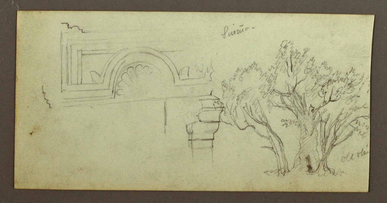 Tekening, Bomen, Geschulpte, februari mogelijk 1868 door Frederic Edwin Church