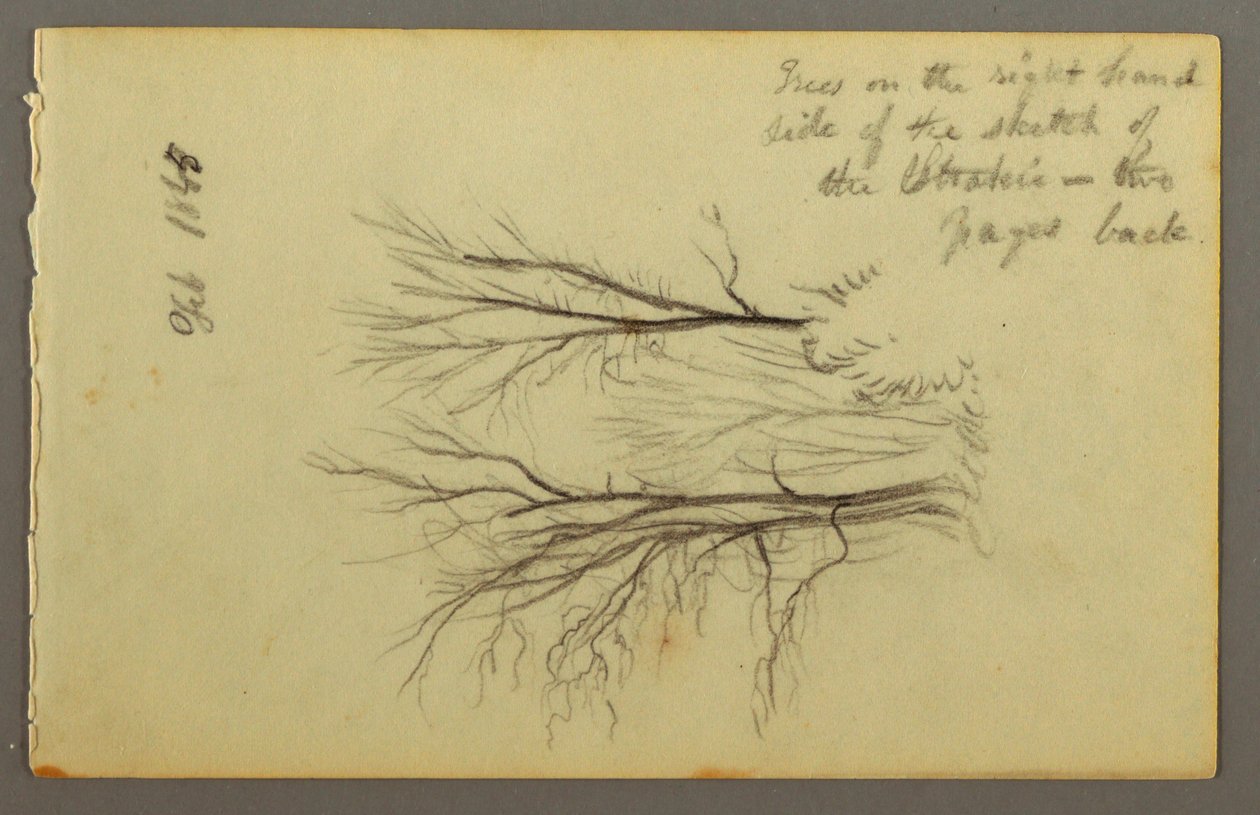 Tekening, Bomen door Htakie () Pond, 1845 door Frederic Edwin Church