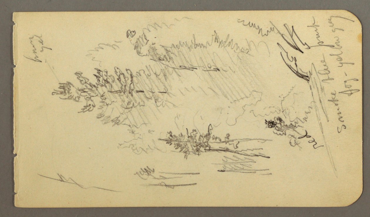 Tekening, Bomen in mist, mogelijk 1878 door Frederic Edwin Church