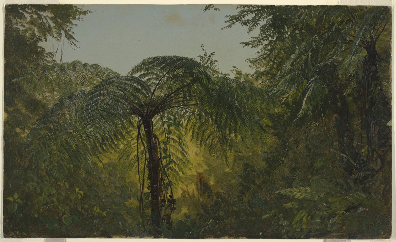 Tekening, Tropisch landschap, juni of juli 1865 door Frederic Edwin Church