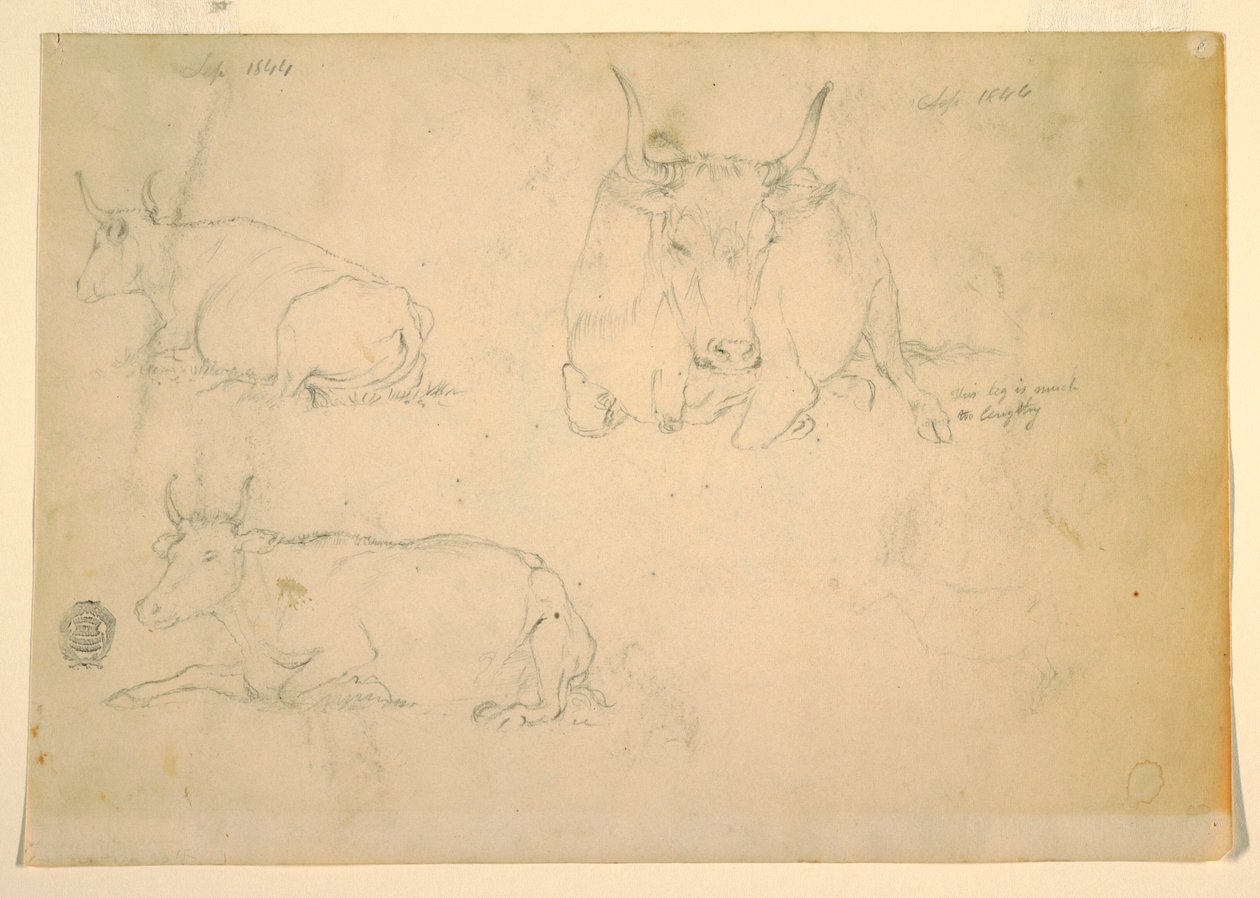 Tekening, Gezicht op hurkend vee, september 1844 door Frederic Edwin Church