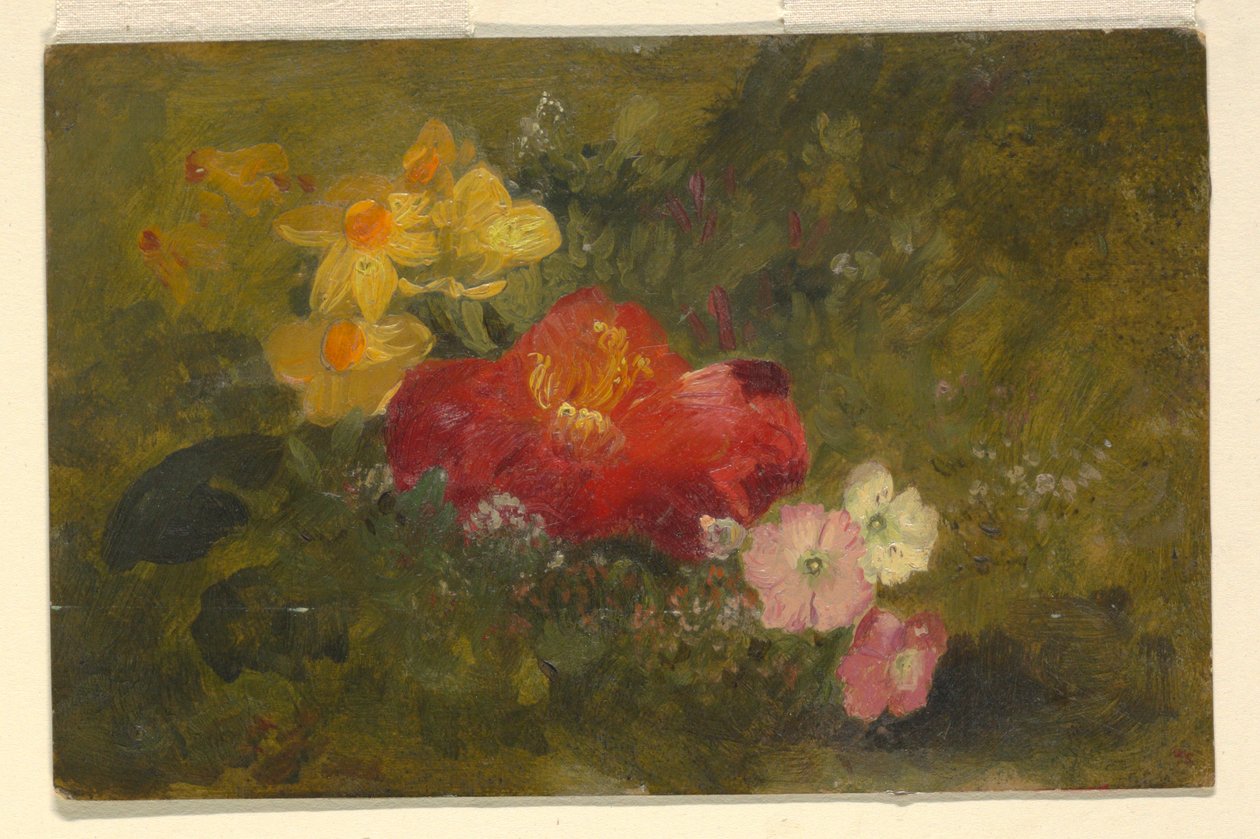 Tekening, Wilde bloemen, Jamaica, 1865 door Frederic Edwin Church