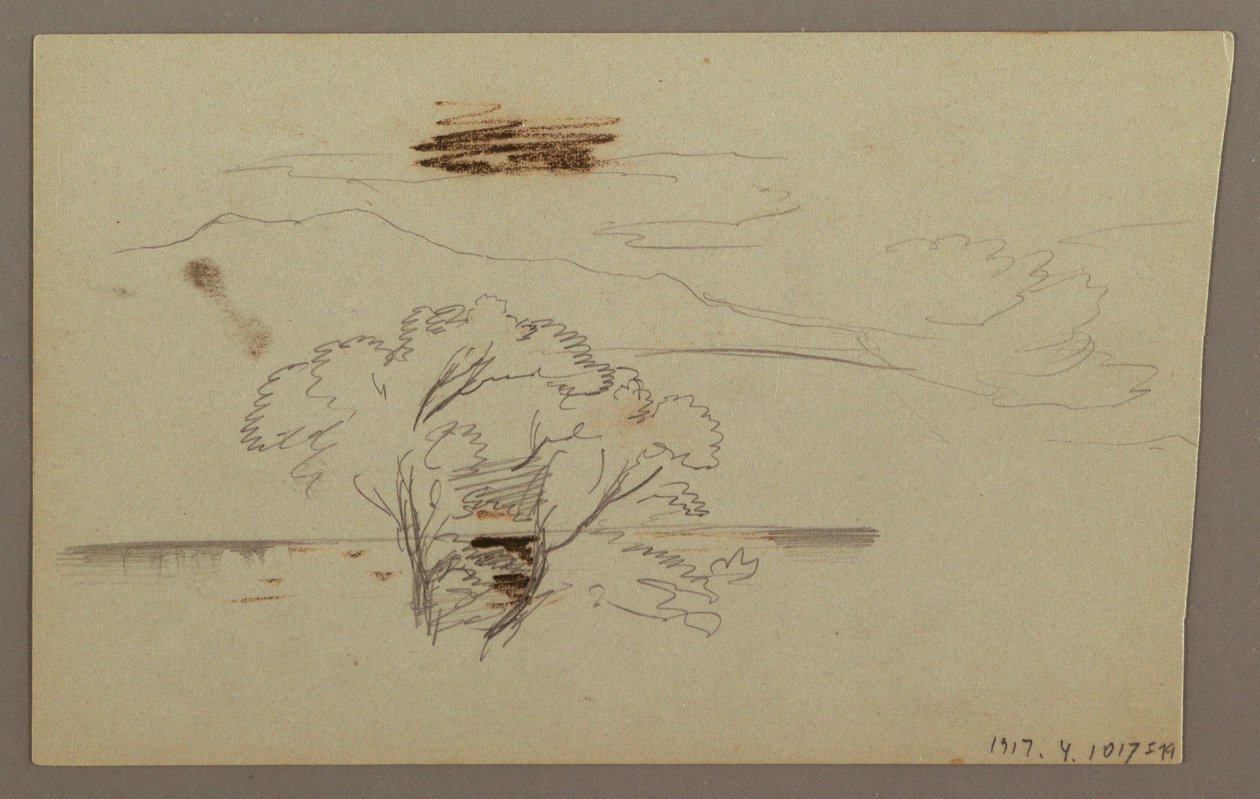 Tekening, Boshelling, Heuvelland, 1863 door Frederic Edwin Church
