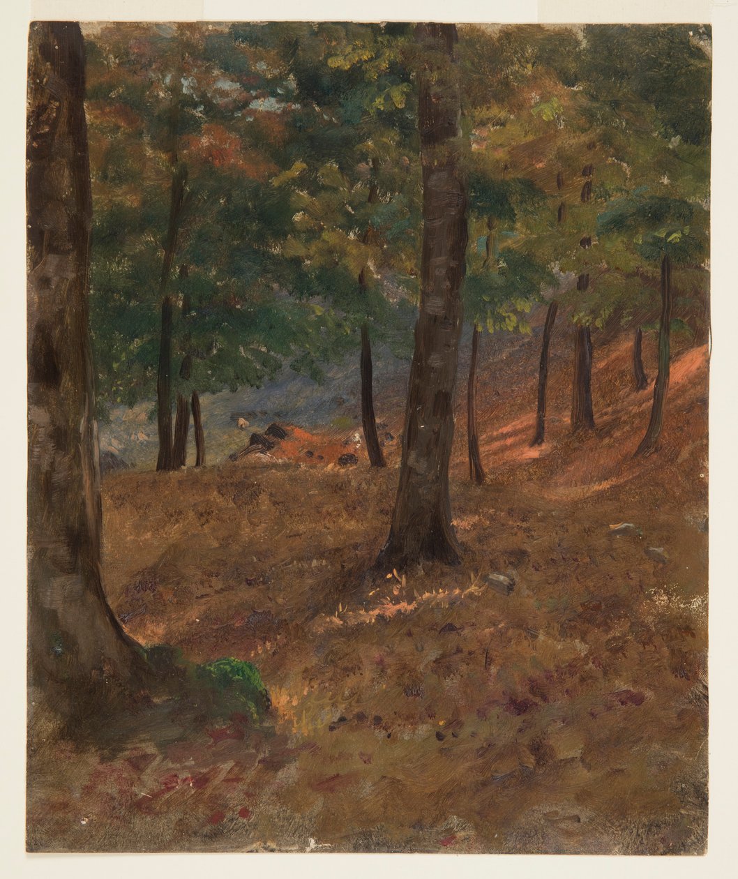 Tekening, Boslandschap, 1870-80 door Frederic Edwin Church