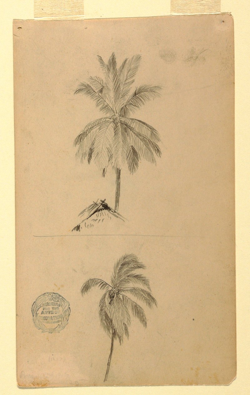 Tekeningen. Twee schetsen. Palmen. door Frederic Edwin Church