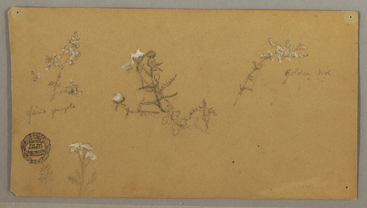 Bloeiende planten door Frederic Edwin Church