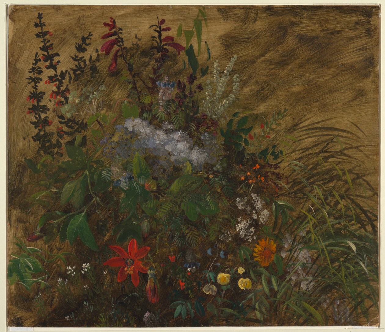 Bloemen in Jamaica door Frederic Edwin Church