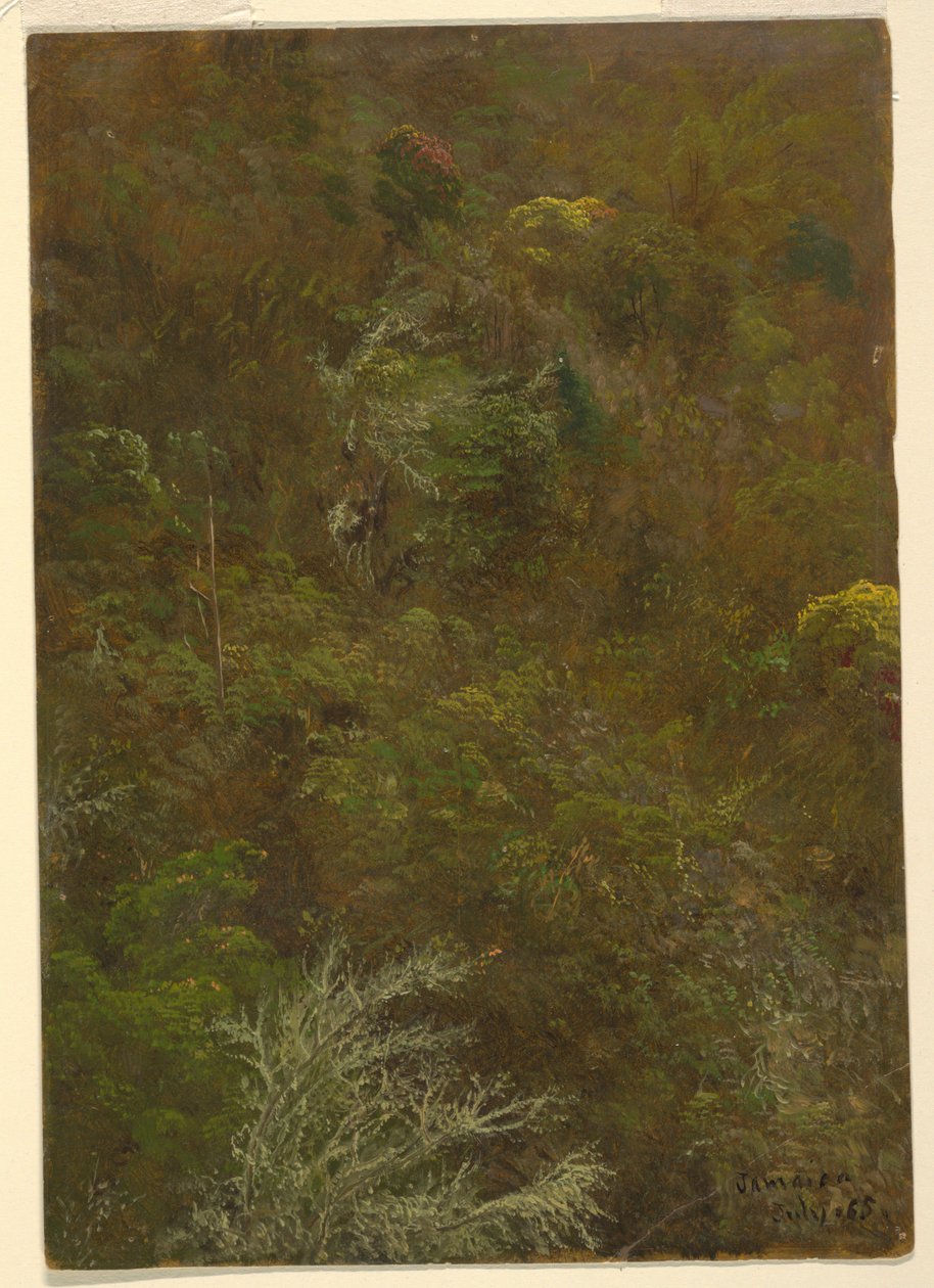 Heuvel met bomen, Jamaica door Frederic Edwin Church