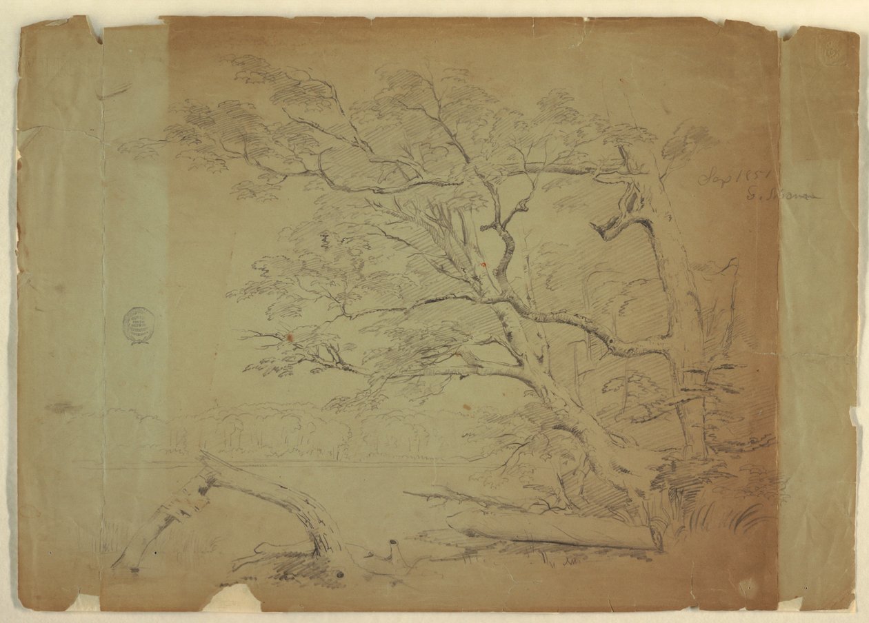 Landschap met bomen en een stroom [?], Grand Manan Island, Canada door Frederic Edwin Church