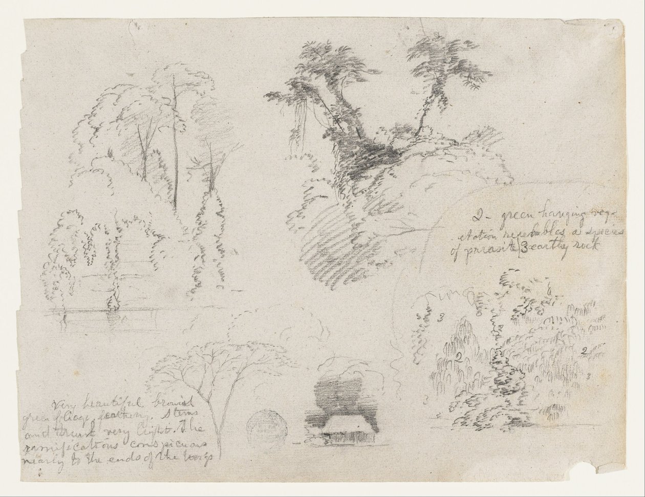 Schetsen uit Zuid-Amerika, waarschijnlijk uit Colombia.  Botanische schetsen.  Een huis. door Frederic Edwin Church