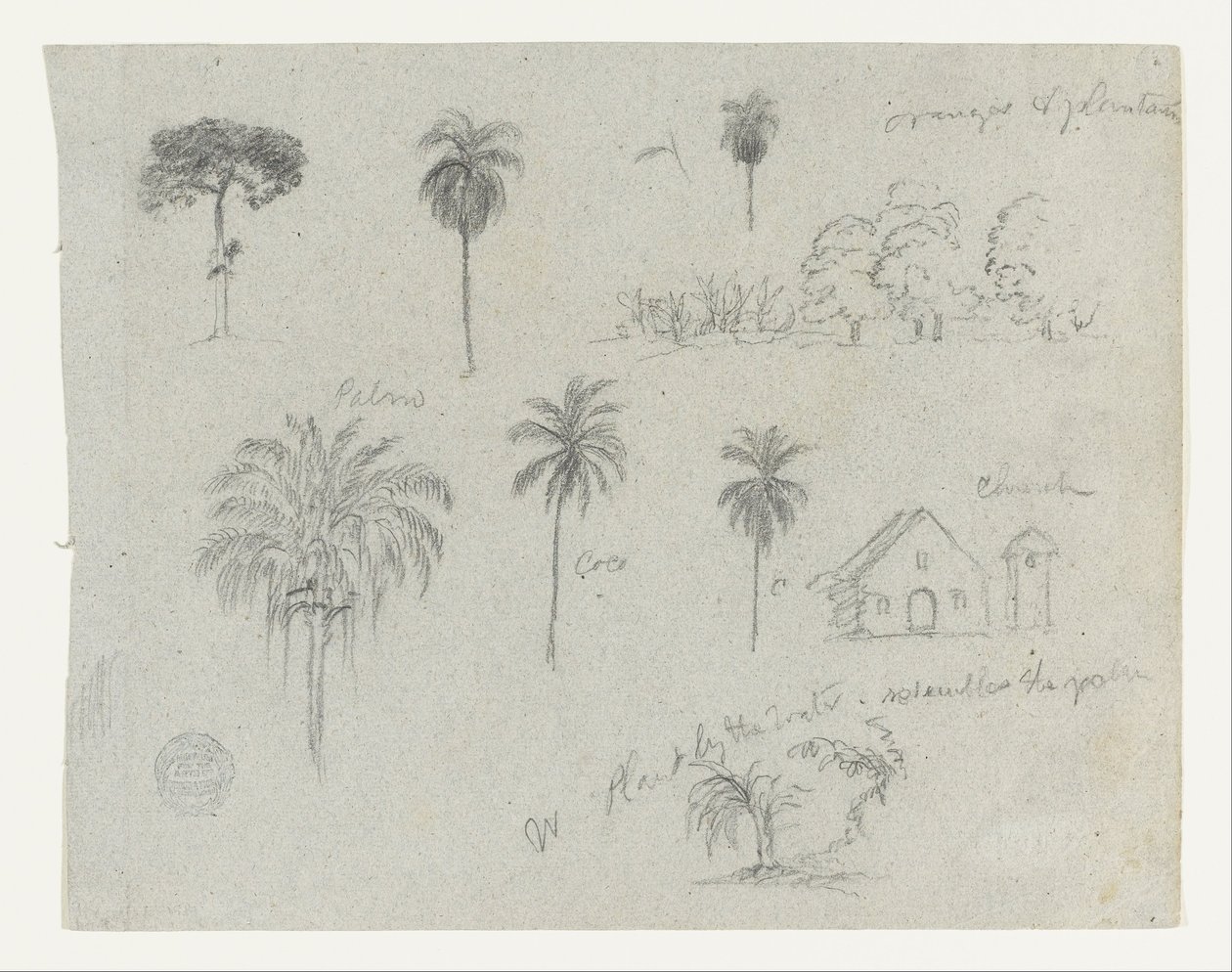Schetsen van de Rio Magdalena, Colombia.  Botanische schetsen. Een kerk.  Vergelijkbaar met -103. door Frederic Edwin Church